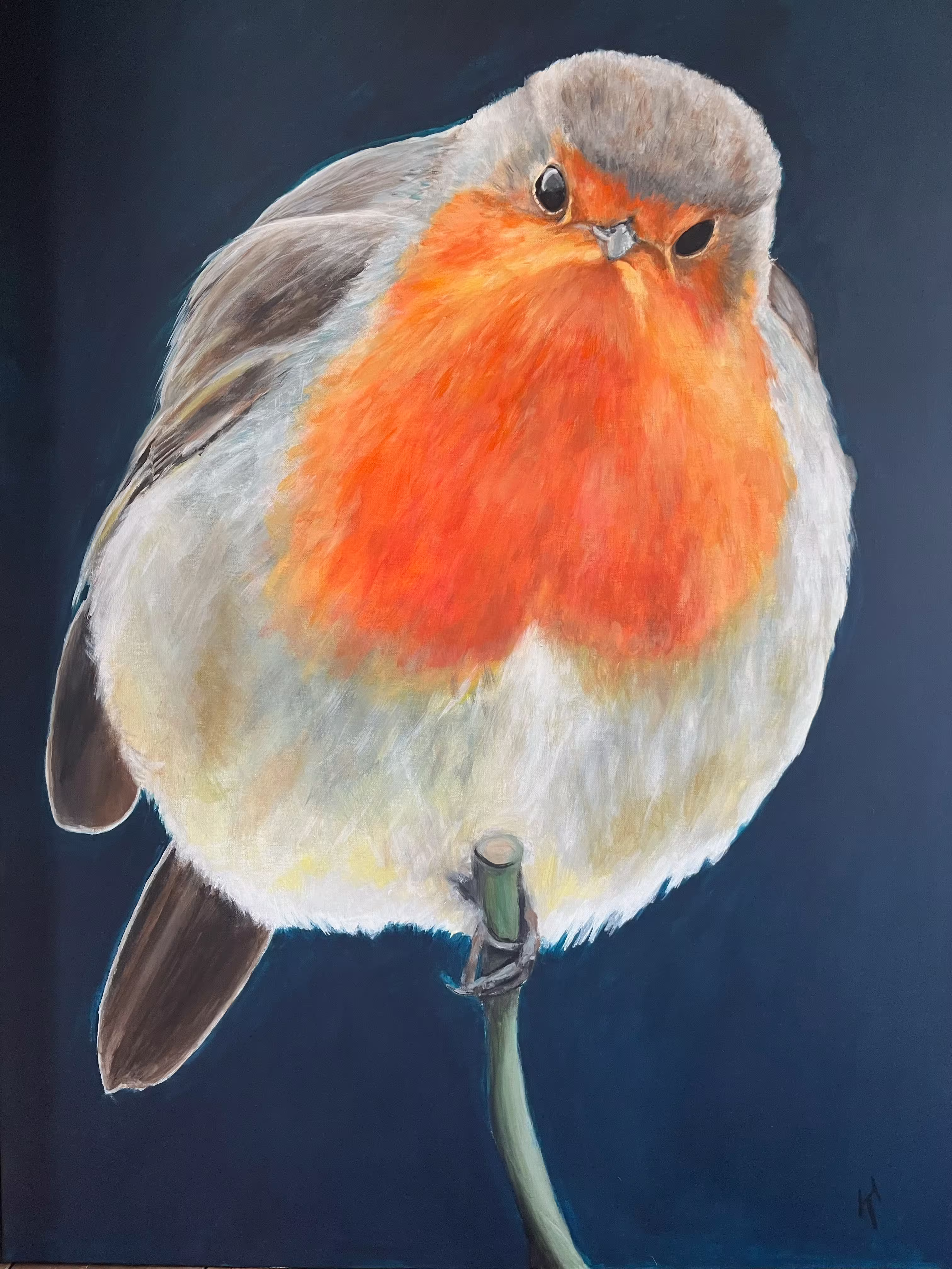 Dikke roodborst de vierde - Acryl op canvas Dikke roodborst de vierde - Acryl op canvas